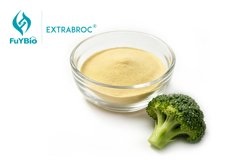 Broccoli Seed Extract Sulforaphane